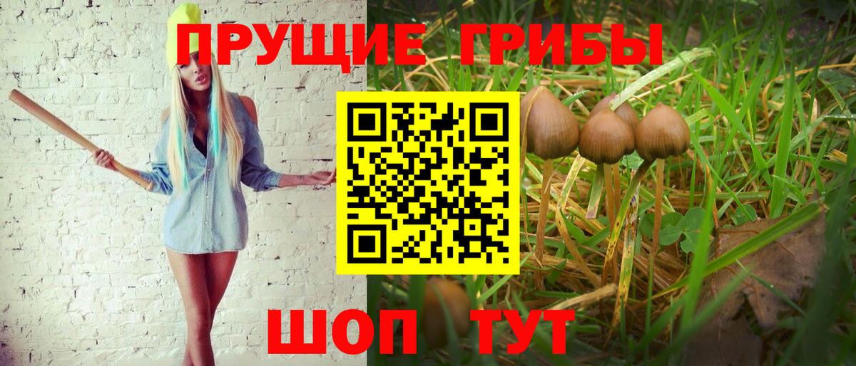 Горно-Алтайск  Галлюциногенные грибы MAGIC MUSHROOMS  Вход с VPN  Галлюциногенные грибы ЛСД 